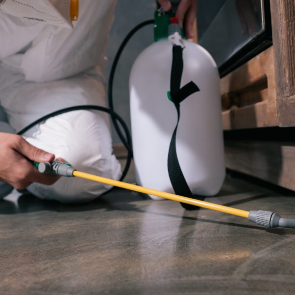 cropped image of pest control worker spraying pesticides on floor in kitchen cropped image of pest control worker spraying pesticides on floor in kitchen