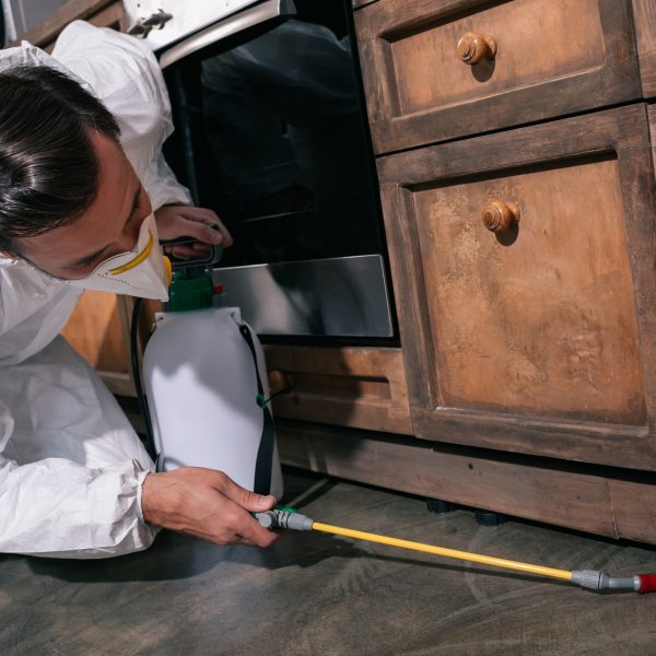 pest control worker in uniform spraying pesticides under cabinet in kitchen pest control worker in uniform spraying pesticides under cabinet in kitchen