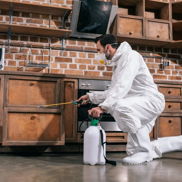 pest control worker spraying pesticides in cabinet in kitchen pest control worker spraying pesticides in cabinet in kitchen