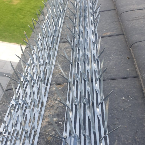 WhatsApp Image 2022-11-07 at 11.17.01 PM