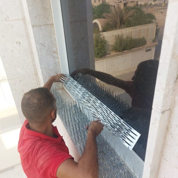 WhatsApp Image 2022-11-07 at 11.17.02 PM