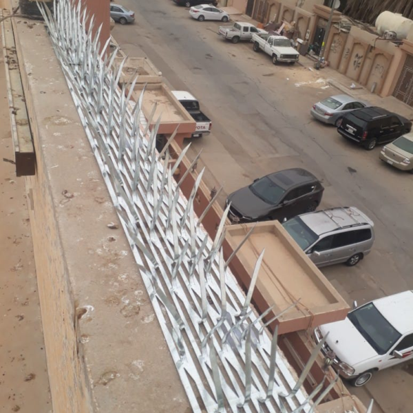 WhatsApp Image 2022-11-07 at 11.19.10 PM